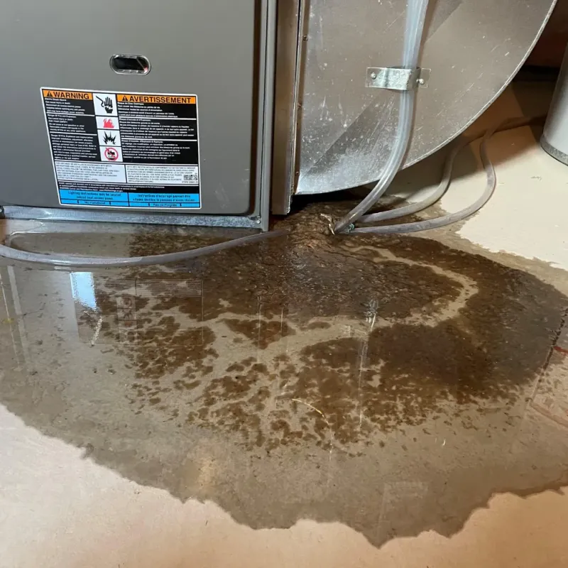 Appliance Leak Cleanup in Troy, TN
