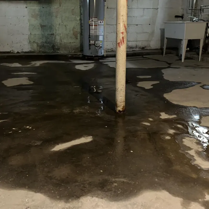 Emergency Water Extraction And Removal in Troy, TN